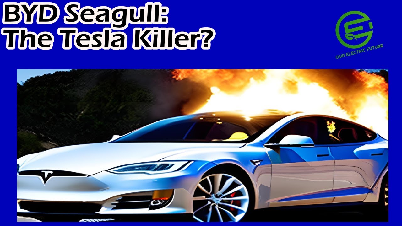 BYD Seagull: The Tesla Killer?