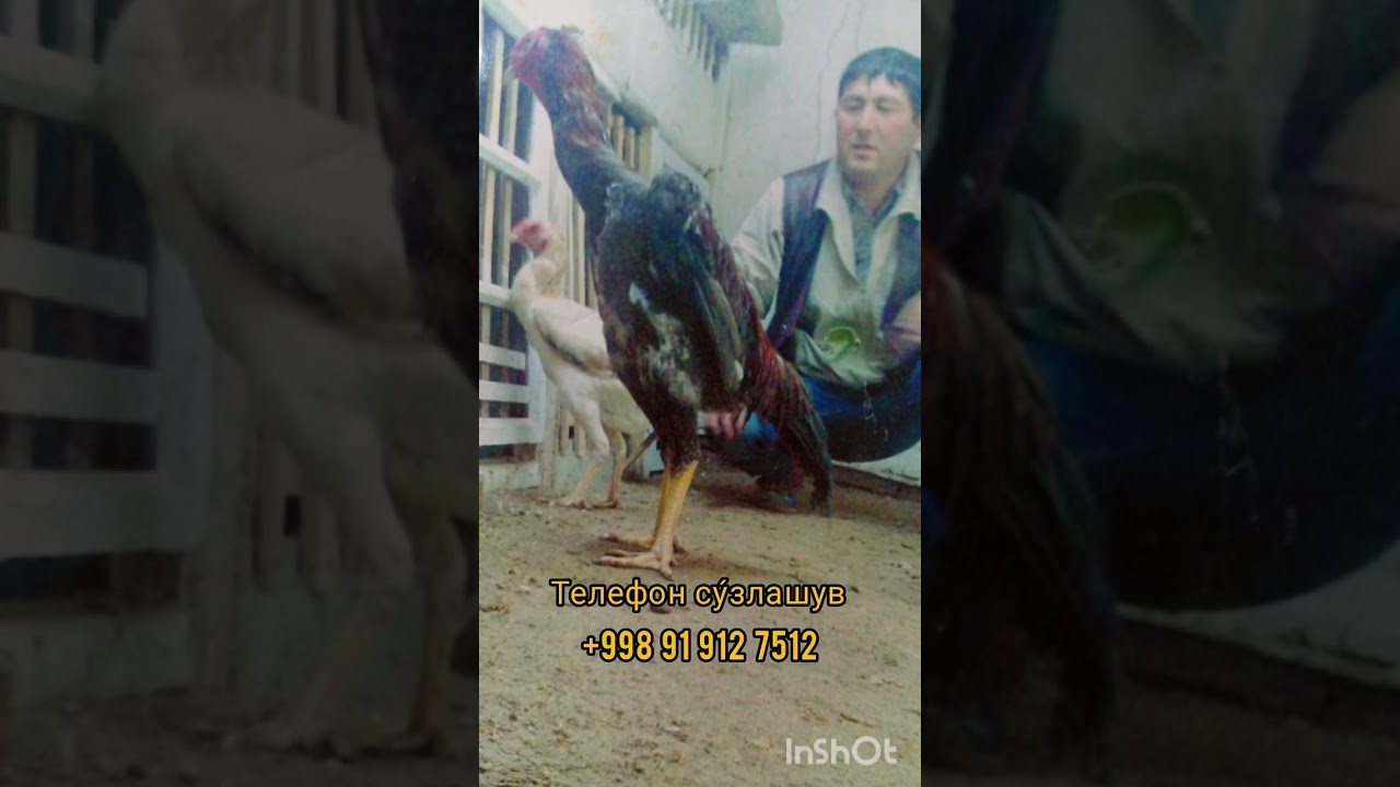 ТЕЛЕФОН СУ́ЗЛАШУВ 9-КСИМ 