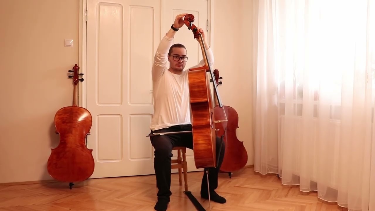 Professional Montagnana Level Cello 4/4 by Vivarius Workshop # 88
