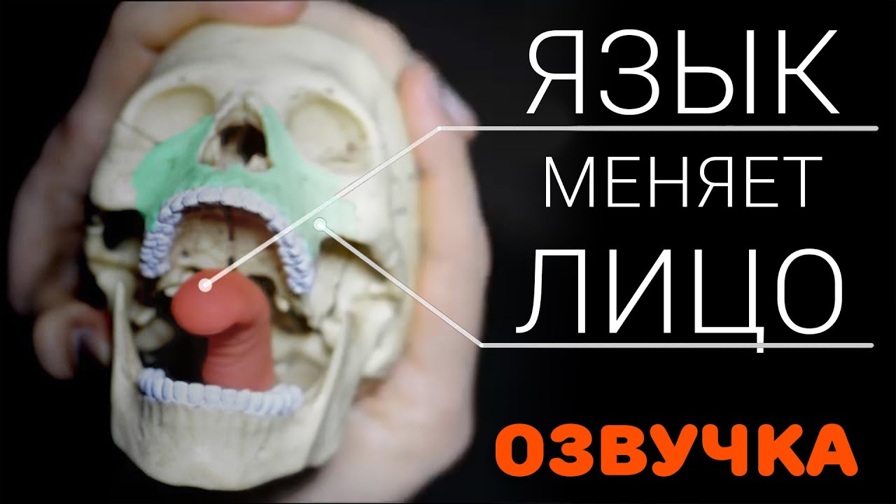 Привлекательное лицо, или нет? Это зависит от положения языка/What i've learned на русском/Гвоб
