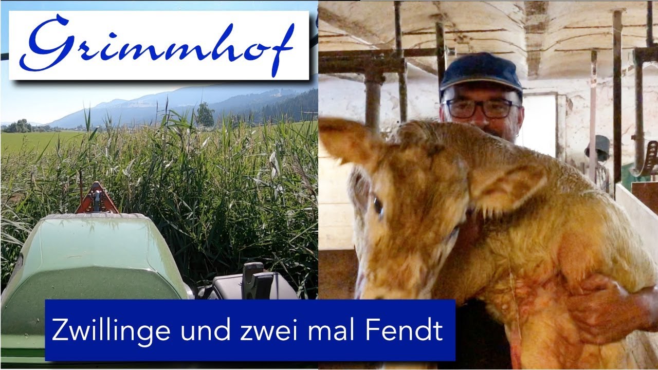 FarmVLOG#23 -Zwillinge, Hitze und der ganz normale 