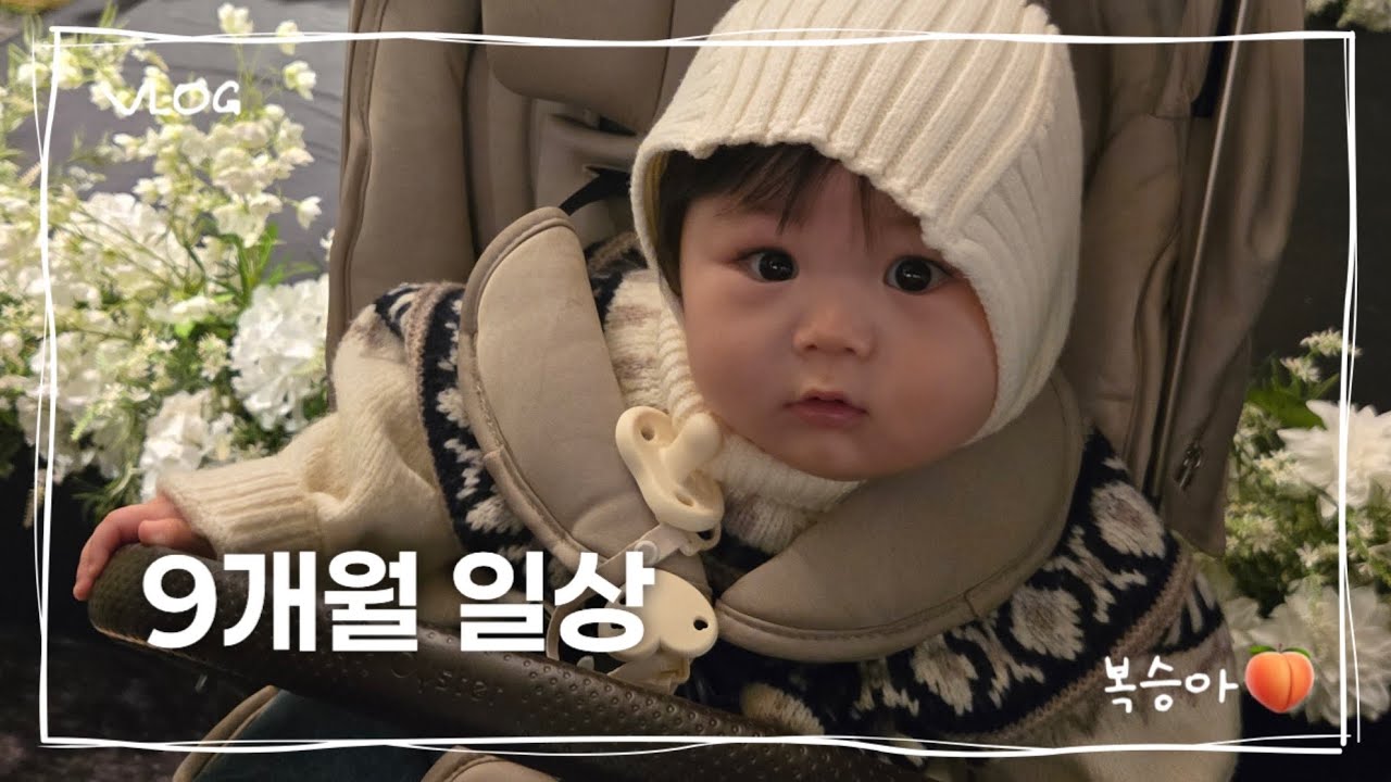 육아브이로그 | 9개월아기, 일산 물노리베이비, 트리사냥, 프로하객러
