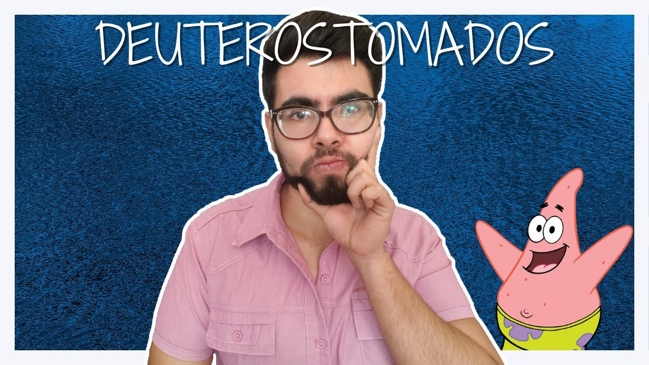¡Los deuterostomados son polifiléticos!