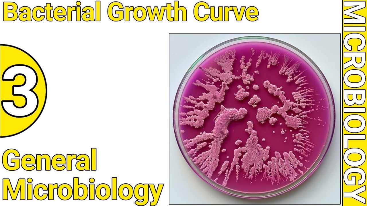 Bacterial Growth Curve | General Microbiology