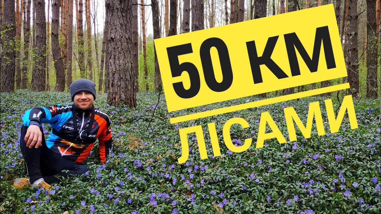 Подихайте сосновим повітрям