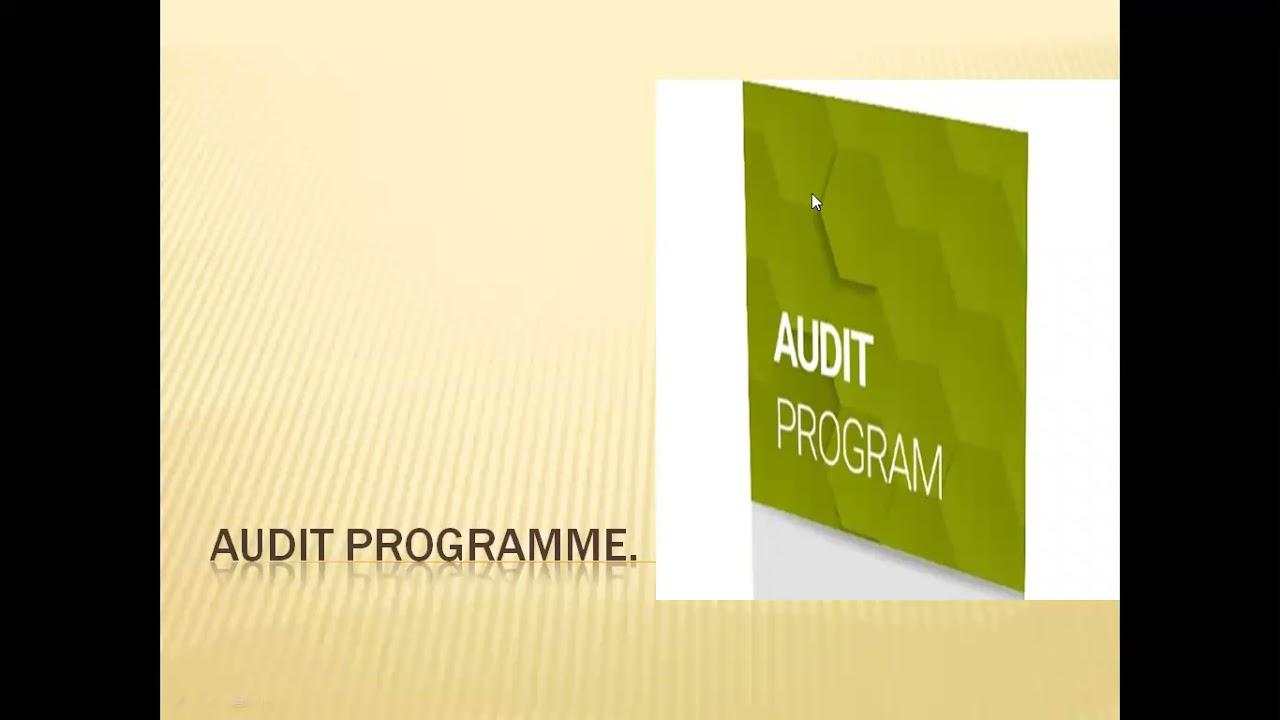 Meaning of Audit programme.