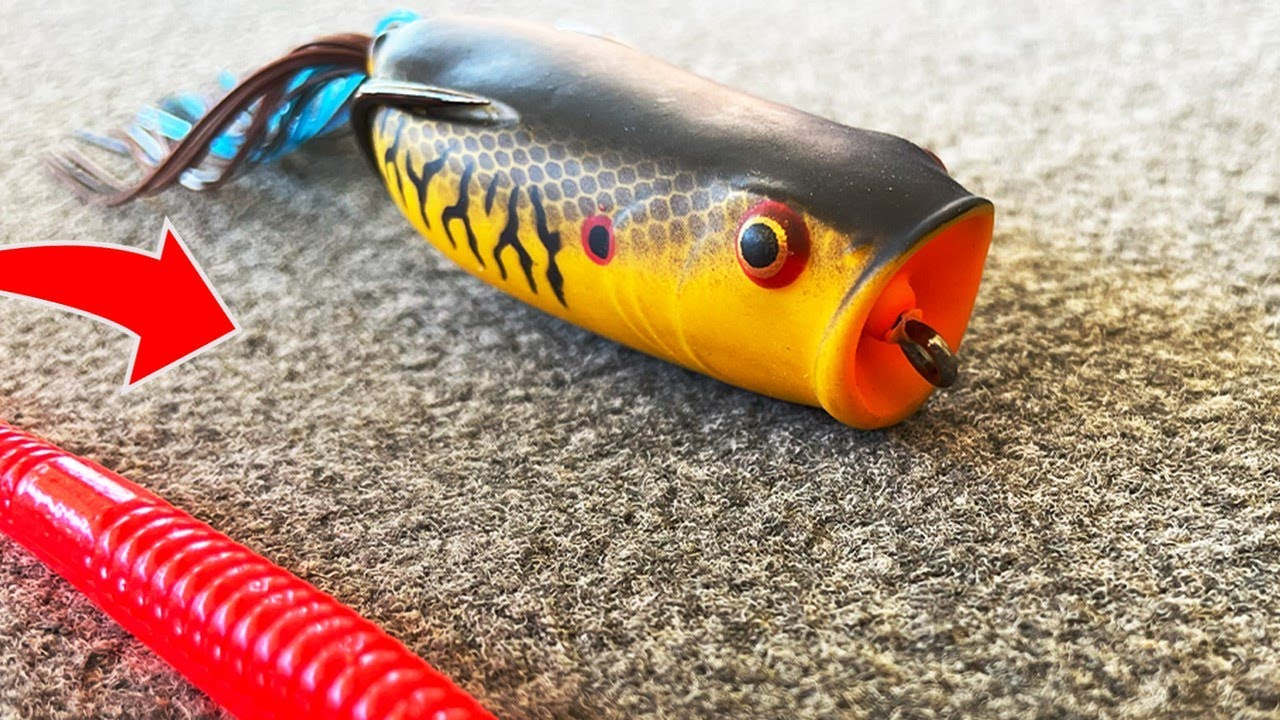 3 Proven Fishing Techniques to Catch Big Bass In The Spring