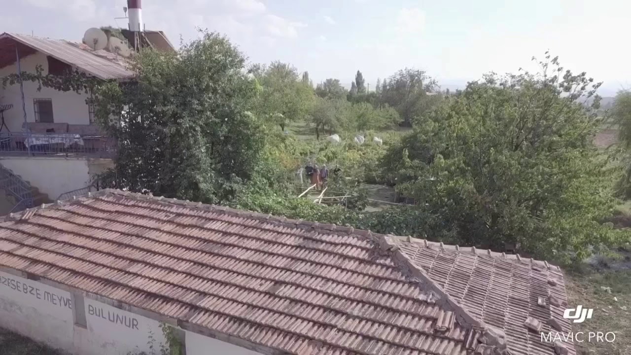 Kırşehir Karakurt 2019