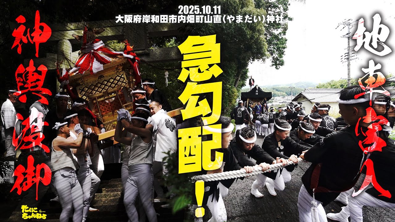 山の上の神社へ宮入。岸和田市内畑町。地車宮入＆神輿渡御。岸和田市の神輿②山直(やまだい)神社