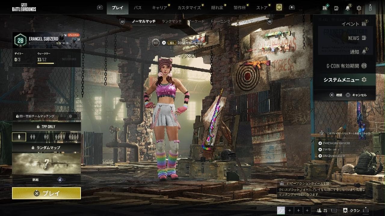 [PUBG] AWM成長型スキン&クロマ　獲得✨✨✨