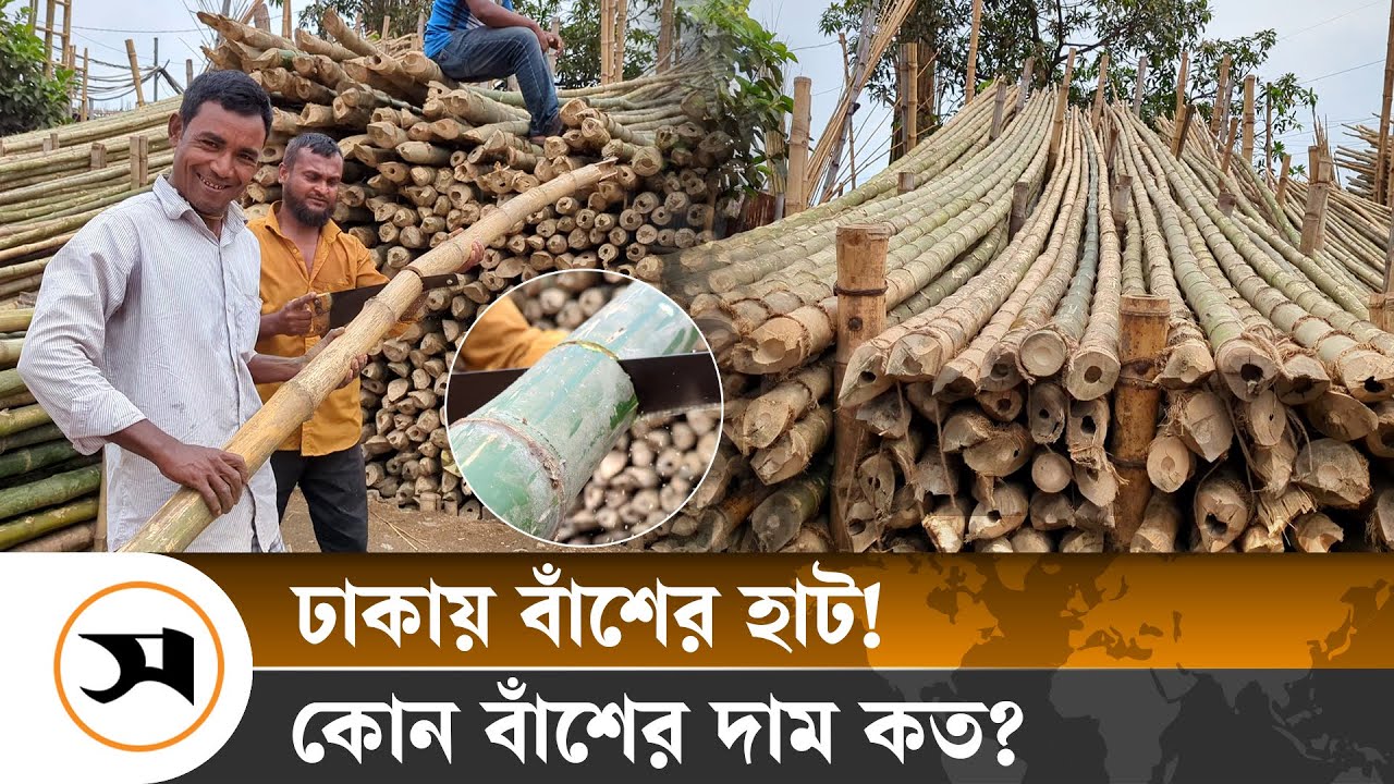 রাজধানীতে কত ধরনের বাঁশ পাওয়া যায়, দাম কত? | | Samakal | Bamboo market | Dhaka | Bamboo