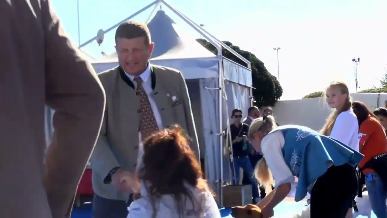 RAGGRUPPAMENTO  6 FCI Sassari Dog Show 2025 11