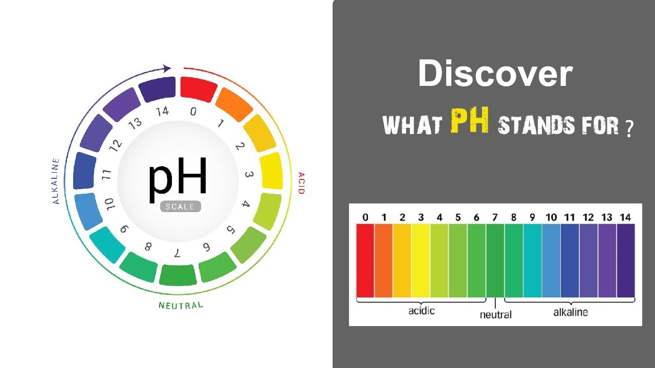 What does pH stand for