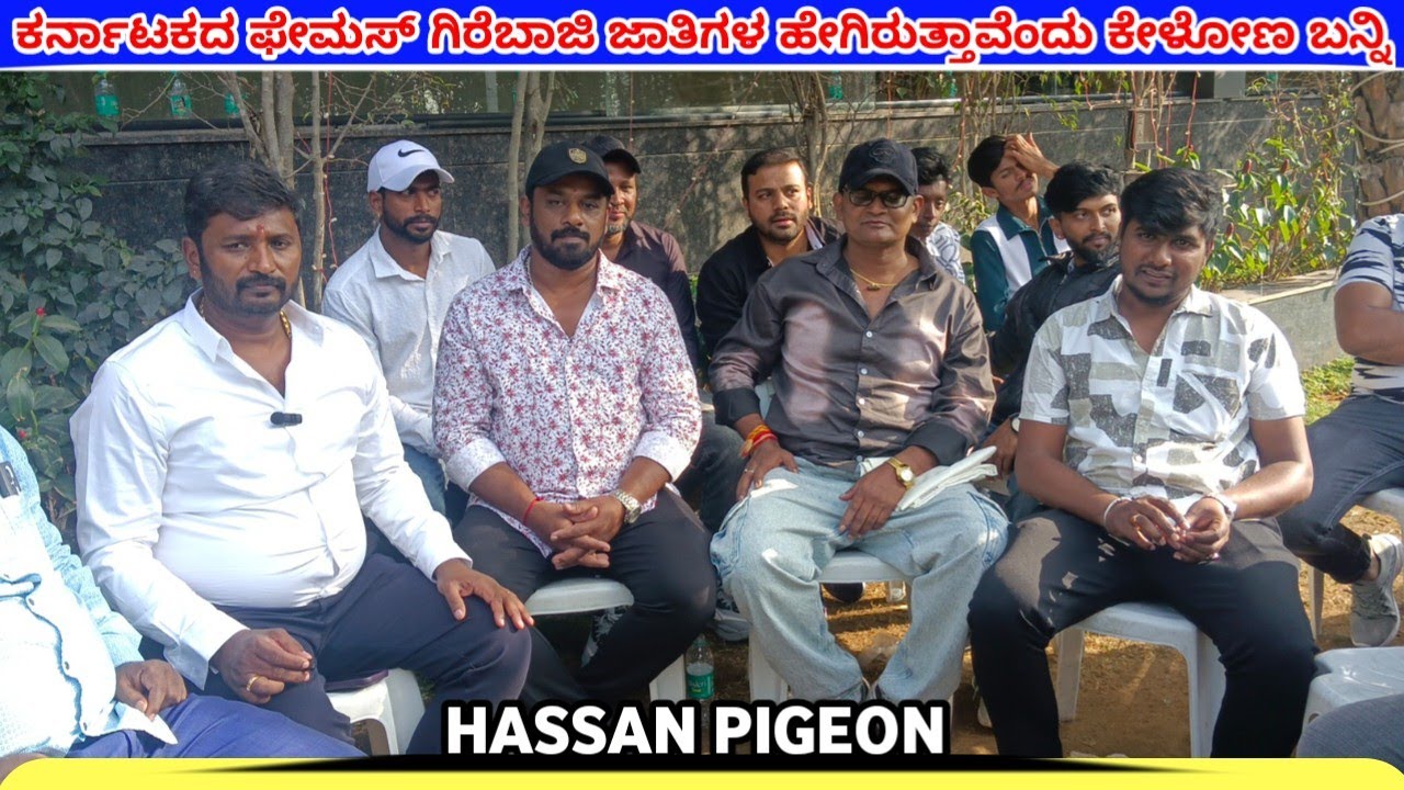 🕊️💥ಕರ್ನಾಟಕದ ಫೇಮಸ್ ಗಿರೆಬಾಜಿ ಜಾತಿಗಳ ಹೇಗಿರುತ್ತಾವೆಂದು ಕೇಳೋಣ ಬನ್ನಿ💥⚡/Hassan pigeon 🕊️♥️💛