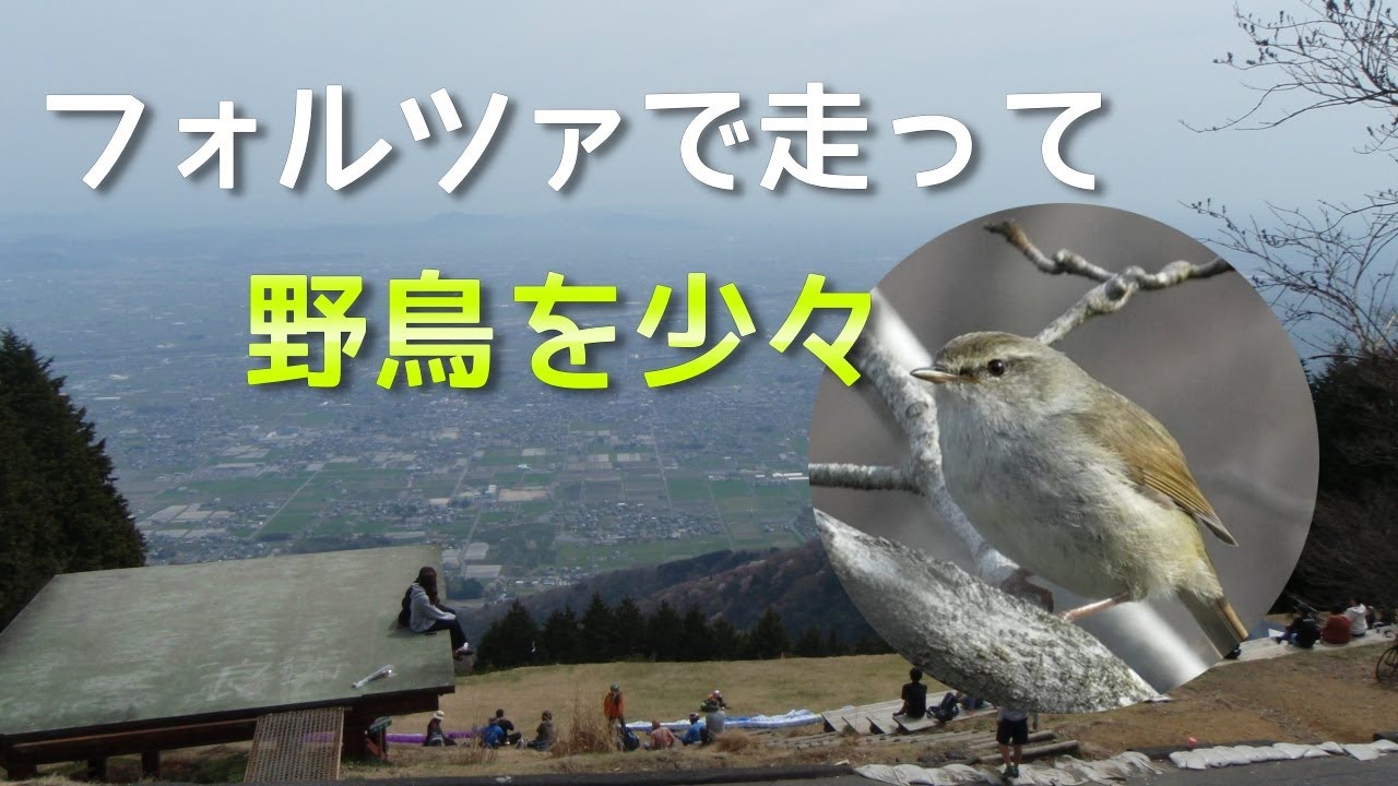 【FORZA】 フォルツァで楽しむ休日【MF17】【ウグイス】