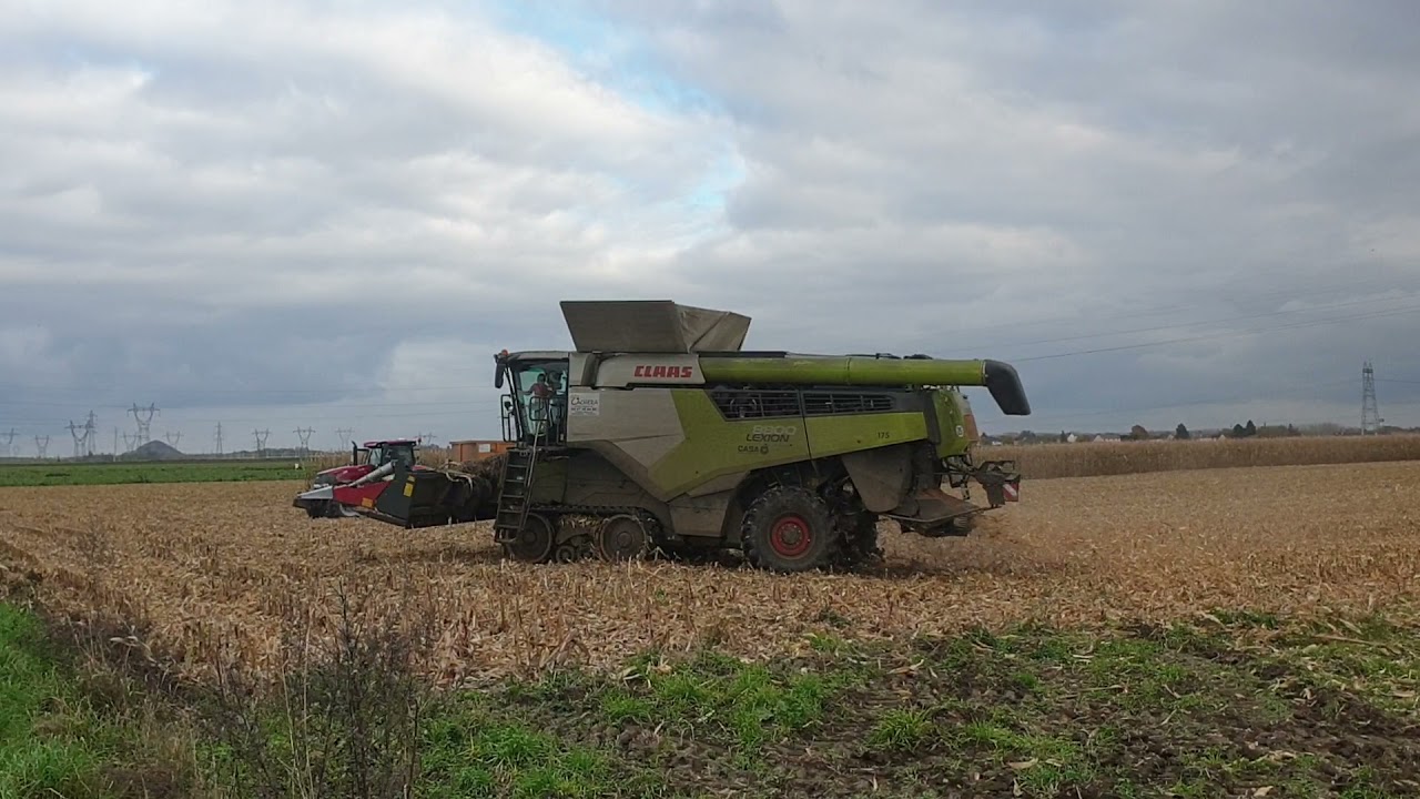 claas lexion 8800 AD cachera