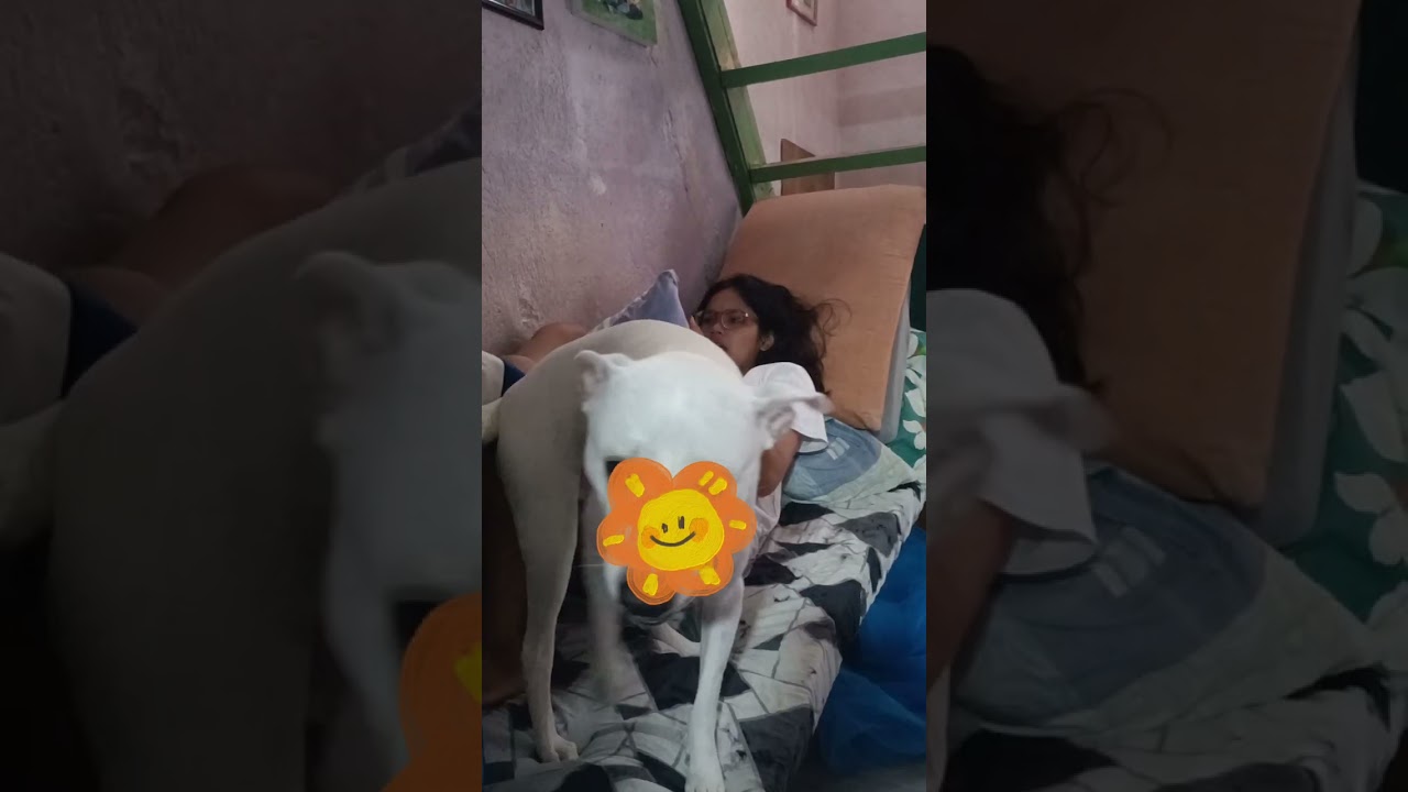 LOVE TALAGA NI ATE SI MAKI DOG NAHINGI TALAGA NG FOOD