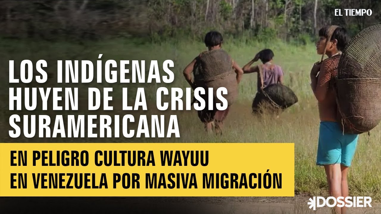 En peligro la cultura Wayuu en Venezuela por la masiva migración | El Tiempo