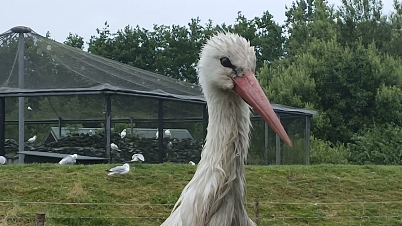 Westküstenpark St. Peter Ording