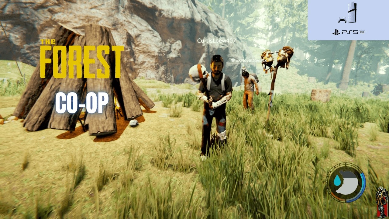 The Forest | Getting Started