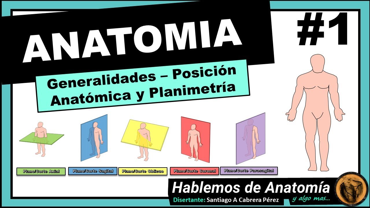 🔴#1 👉 ANATOMÍA 🟩 PLANOS ANATOMICOS 🟪  POSICION ANATOMICA 🟥  EJES CORPORALES