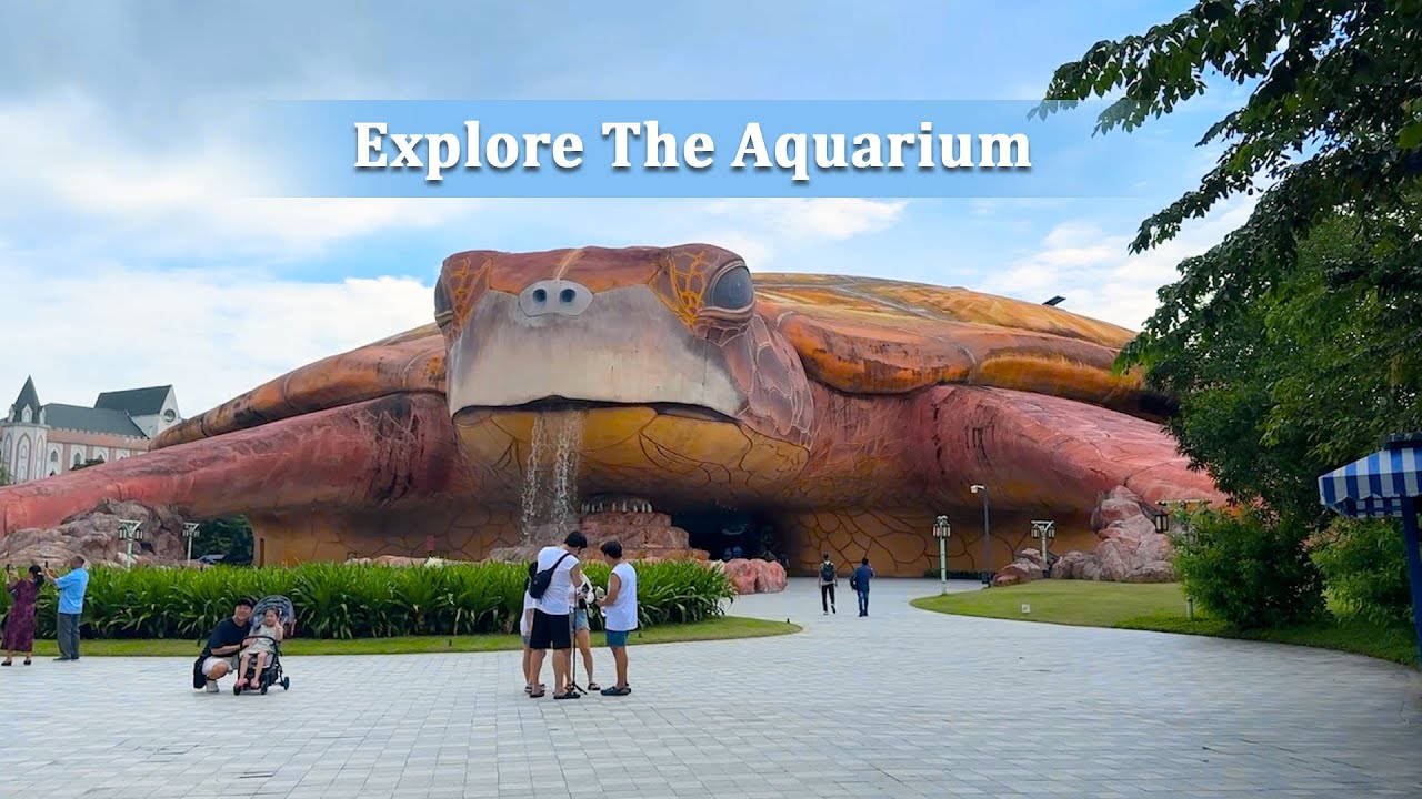 Discover The Vast Aquarium Sheltered By Giant Turtle