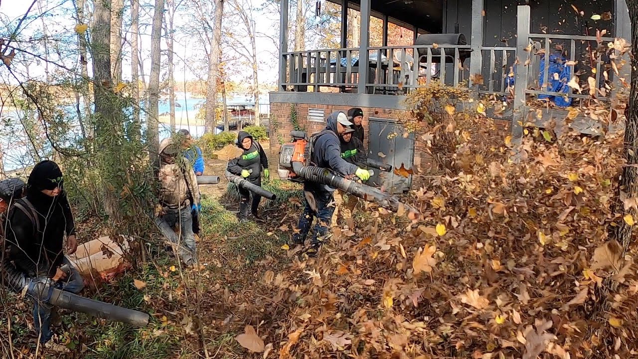 $80 in 8 Minute with 6 Man Crew Leaf Cleanup