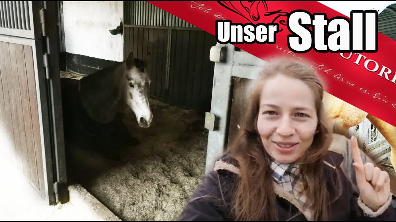 Unser Offenstall -  die Liegefläche und Meinung dazuTeil 2/2 // Reitertutorials