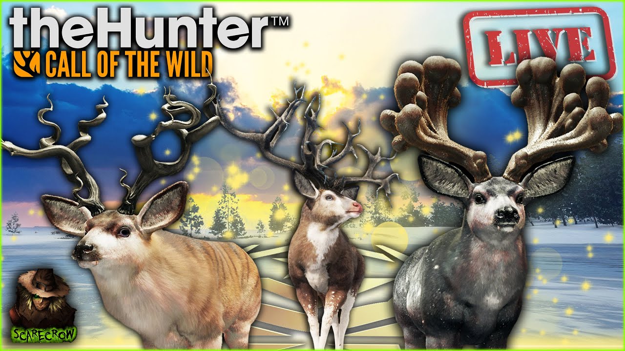 I'm Sick So Lets Grind! 7 Day Mule Deer Great One Grind Begins! Extreme HM! Call of the wild