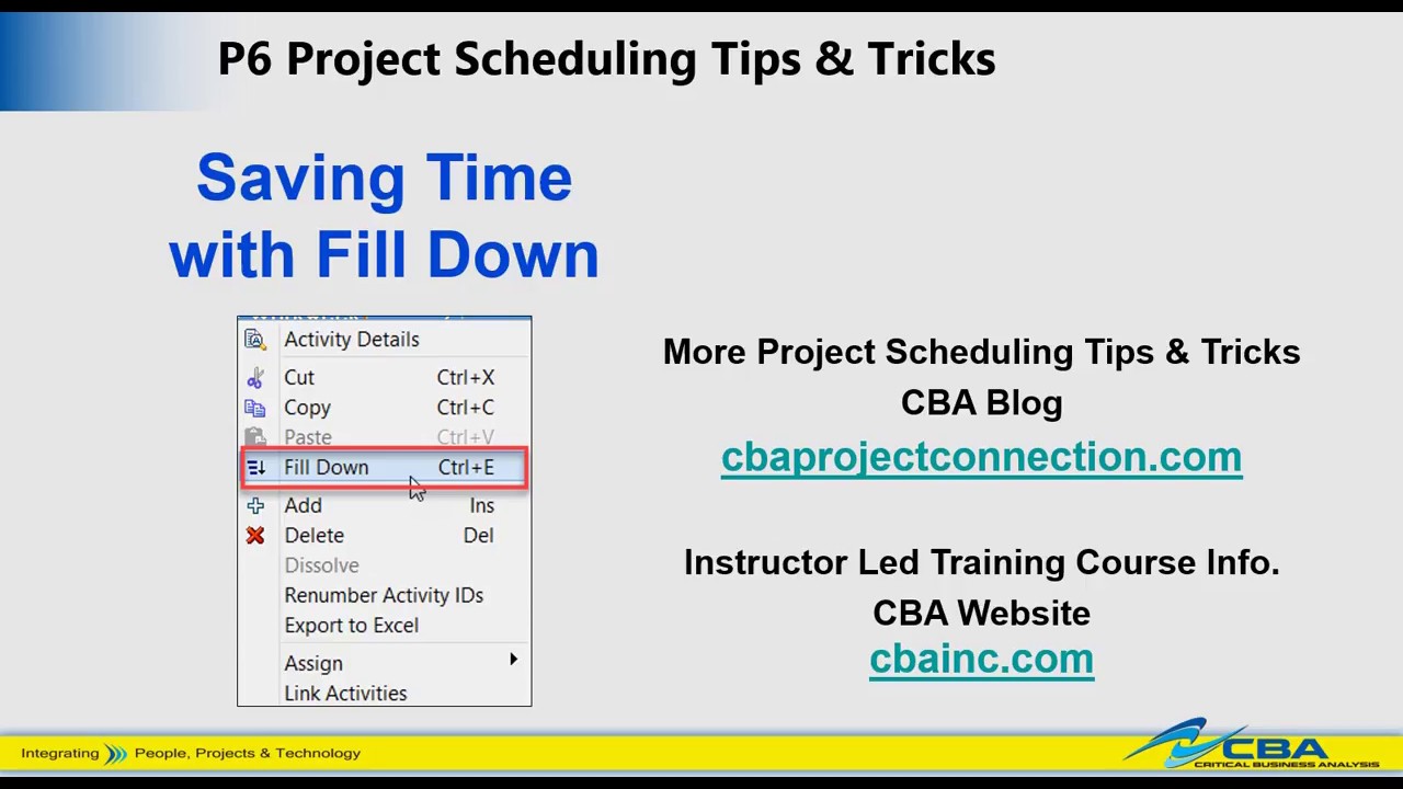 Primavera P6 Fill Down feature