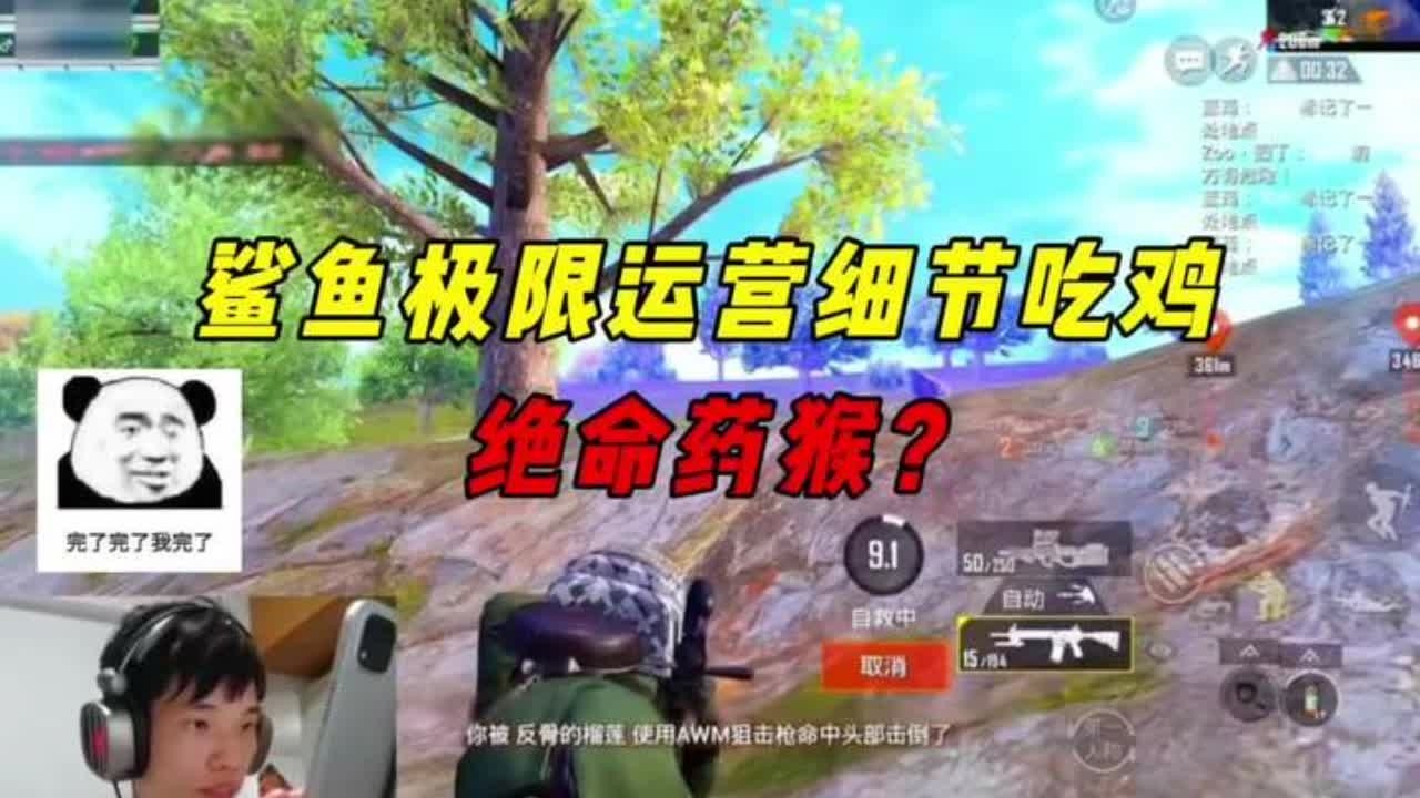 《鲨鱼最极限的一把游戏，大难不死细节运营吃鸡！》 #和平精英 #和平精英丝路敦煌 #大吉大利和平年 #和平精英丝路贺新春 #鲨鱼哟syy