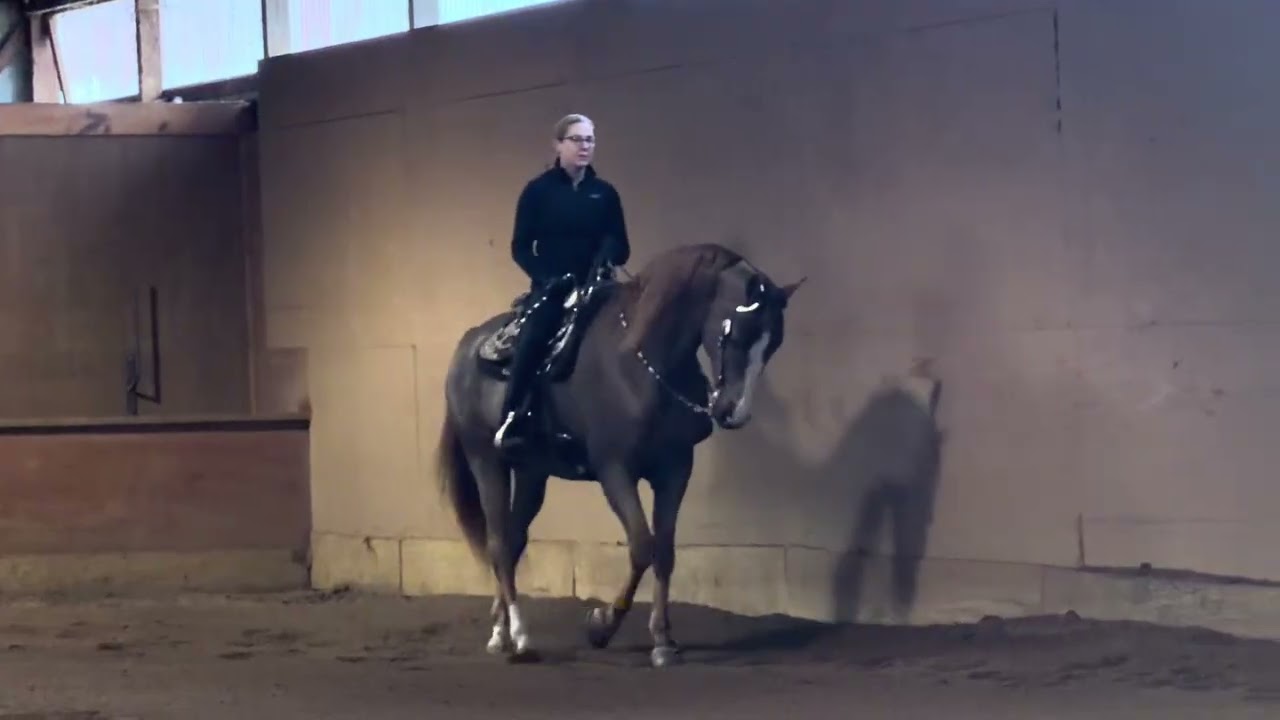 CFE THE FIFTH ELEMENT 