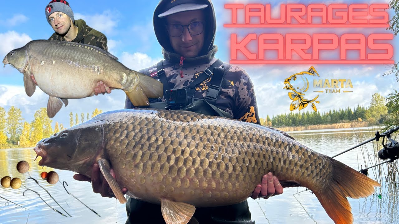 TAURAGES KARPAS || TROFEJAS UN JAUNI REKORDI || STUNDU GARA CĪŅA AR 24KG KARPU || TAURAGES KARPIAI