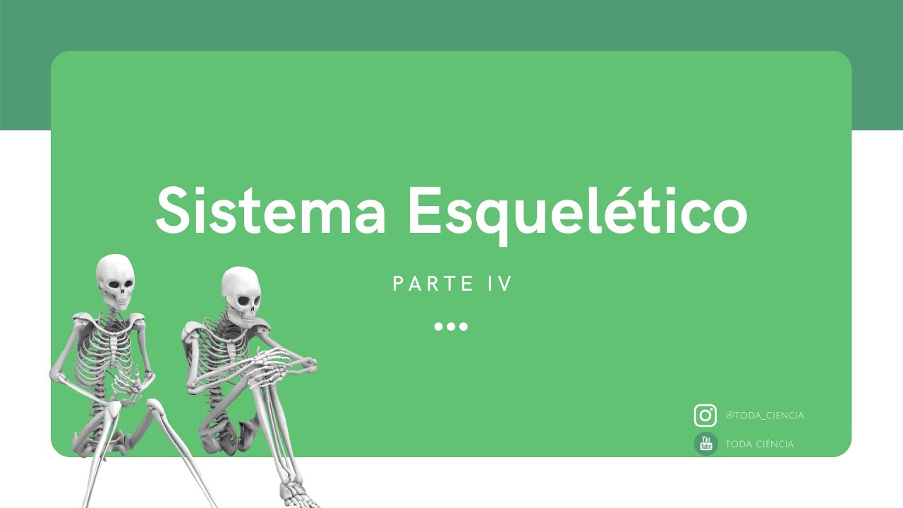 Sistema Esquel&eacute;tico: Peri&oacute;steo, Nutri&ccedil;&atilde;o &Oacute;ssea e Osteoporose - Parte IV