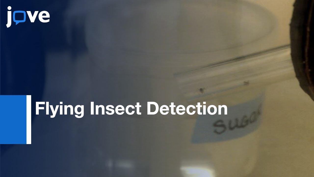 Flying Insect Detection & Classification With Inexpensive Sensors l Protocol Preview