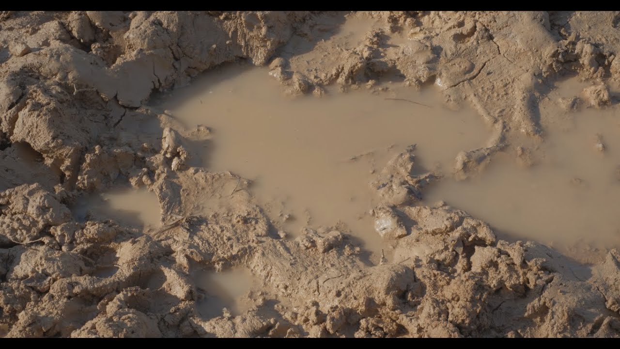 La Chute - court métrage