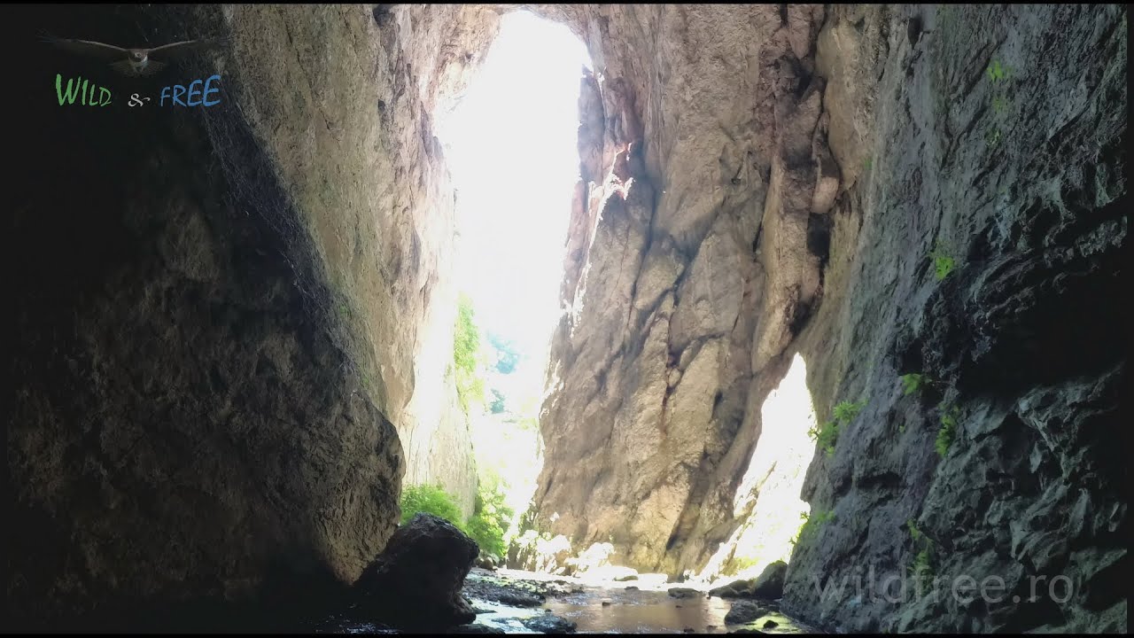 Pestera Sura Mare - Wild&Free Romania