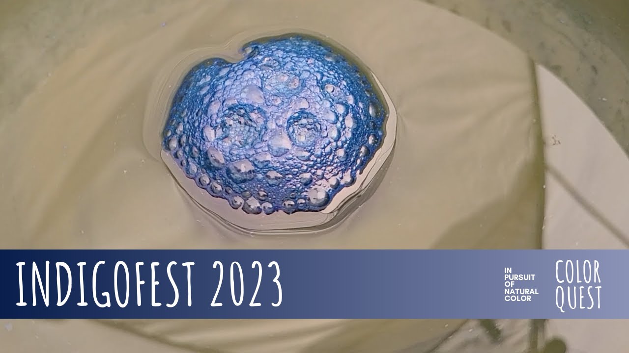INDIGOFEST 2023 | ORGANIC COLOR | INDIGO BLUE | VAT DYE | FRESH LEAF  INDIRUBIN | SEAVIEW WASHINGTON
