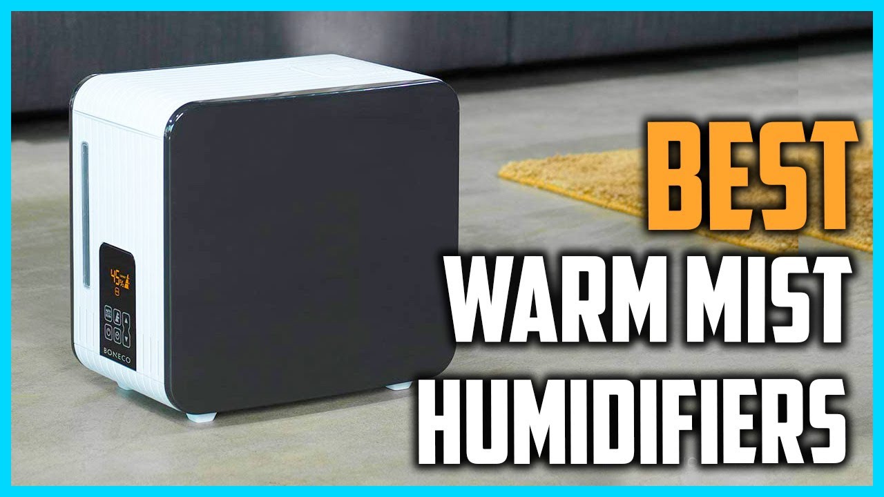 Best Warm Mist Humidifiers [Top 5 Picks]