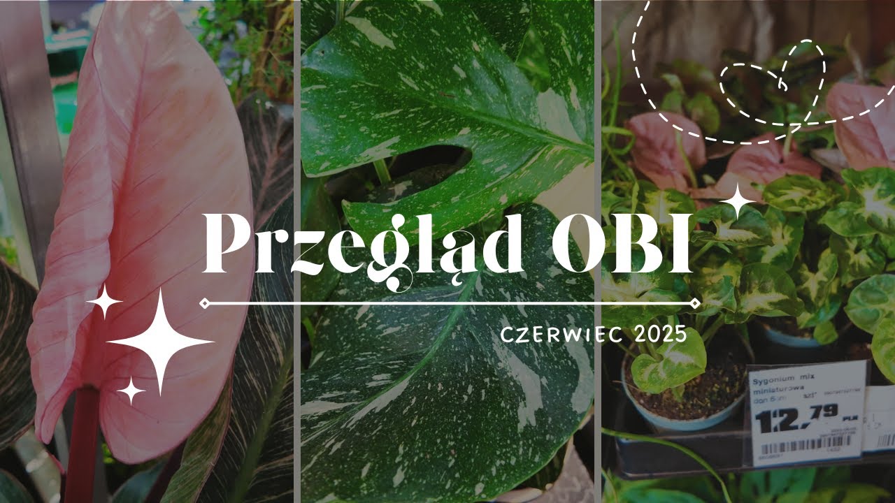🪴PRZEGLĄD OBI🪴 CZERWIEC 2025 🌿WIELKIE ROZCZAROWANIE? 🌱 CZY UDAŁO SIĘ COŚ KUPIĆ?
