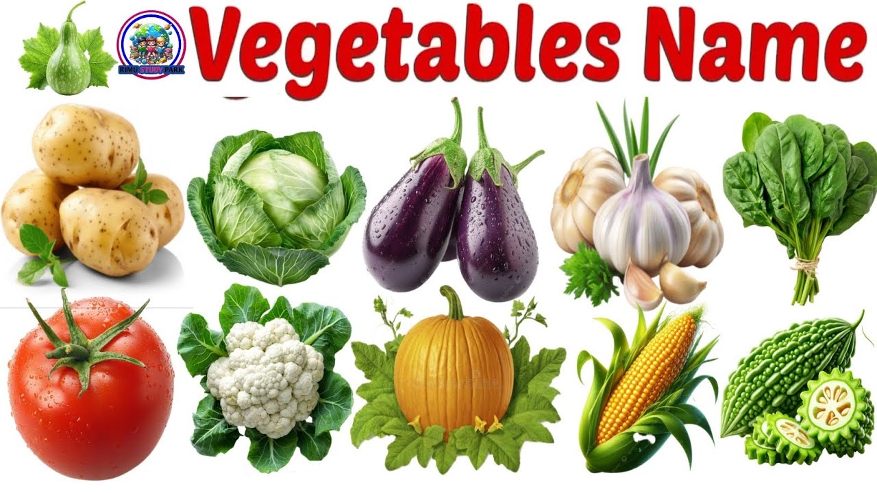 20 सब्जियों के नाम सीखें बच्चों के लिए🥕🥦 | Learn 20 Vegetable Names for Kids with Pic| #Vegetables 