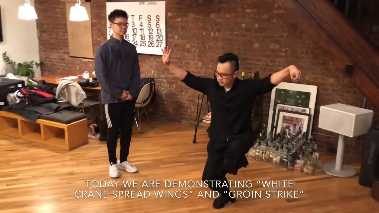 小八極之「白鶴晾翅」應用 Xiao Baji “White Crane Spread Wings” Application