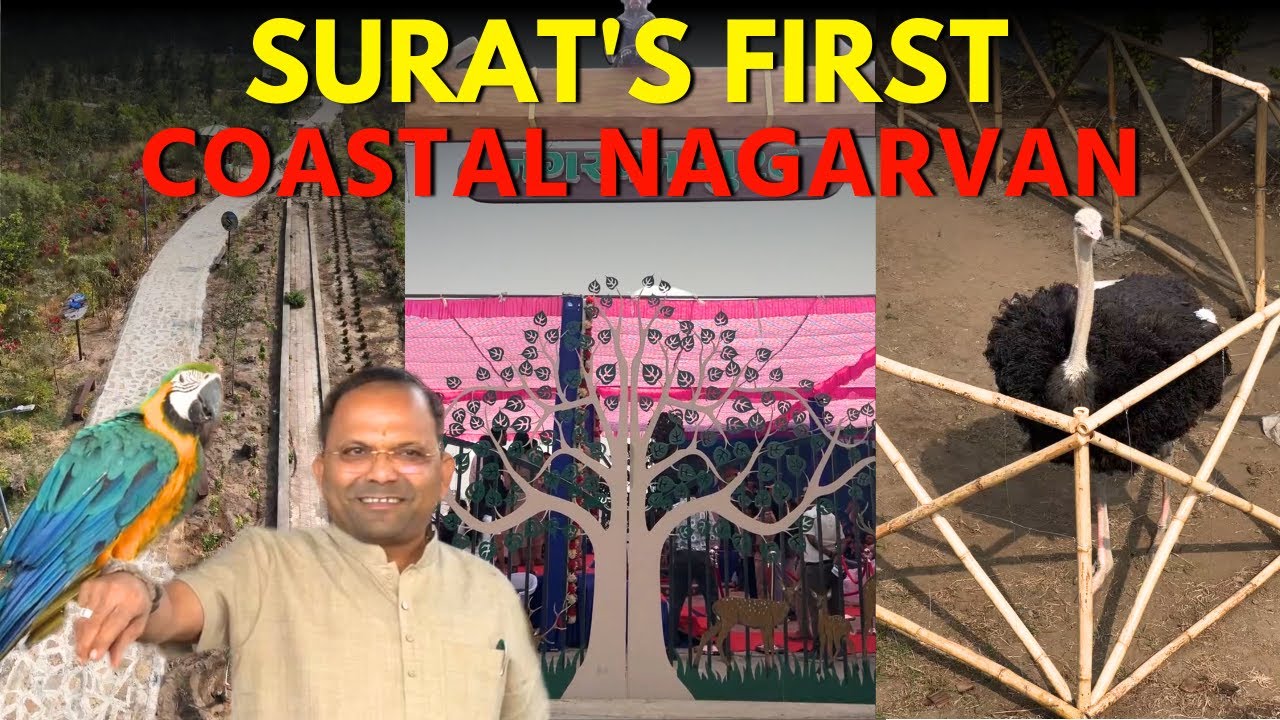 Exploring Gujarat's First Coastal Nagarvan in Surat 😍 | Kemchhosurat