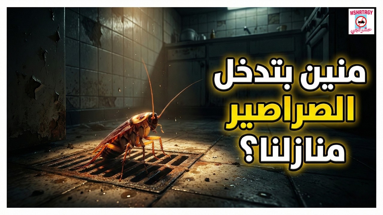 منين بتدخل الصراصير منازلنا