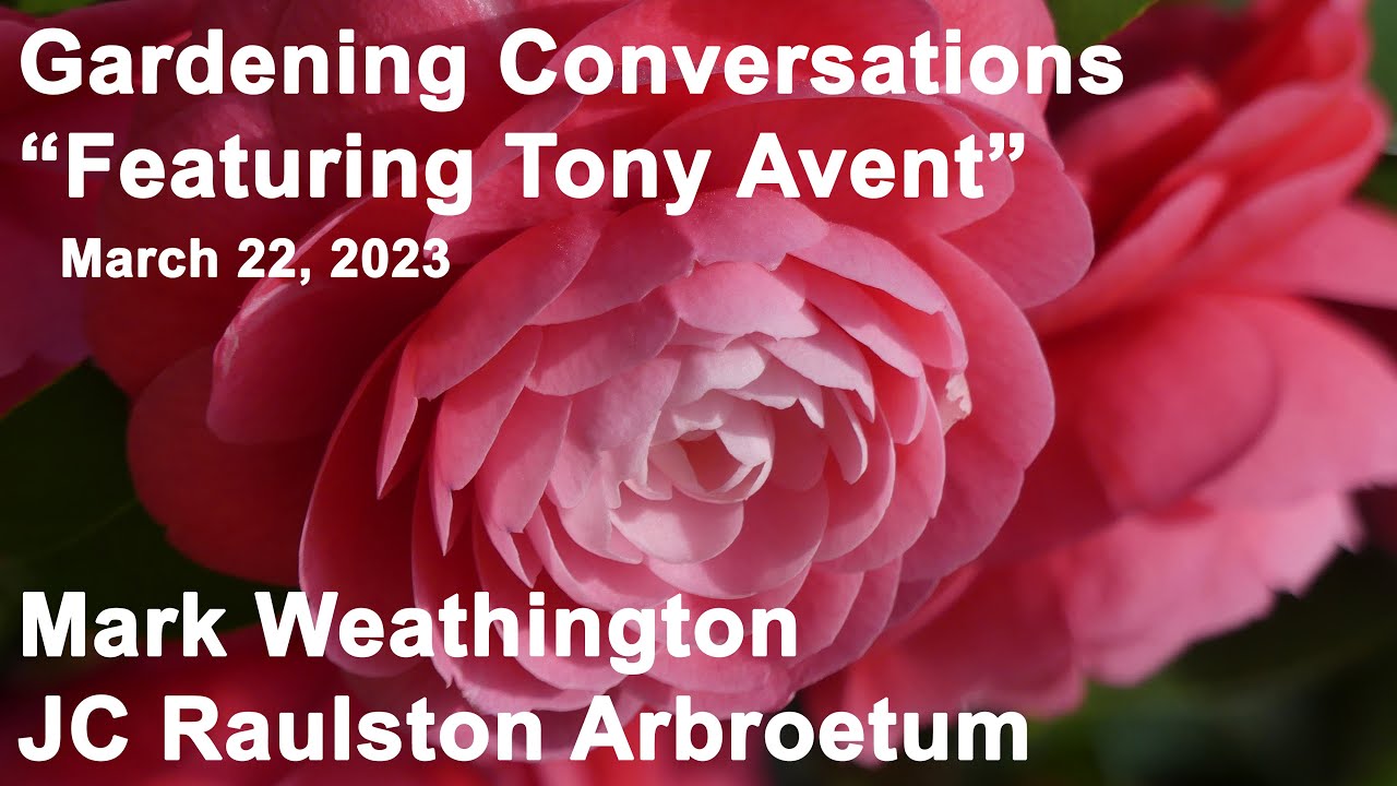 Gardening Conversations - 