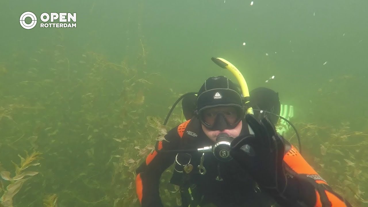 Duikers verkennen de onderwaterwereld in de Zevenhuizerplas | MORE Alexander