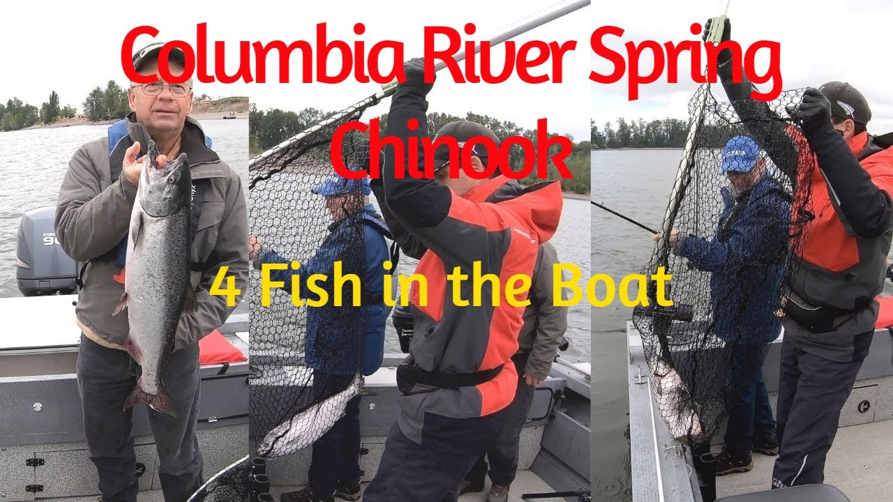 LIGHTS OUT Columbia River Spring Chinook Salmon Fishing!!!