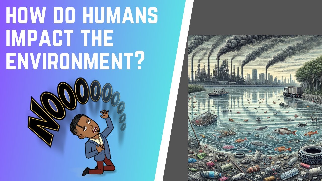 How Do Humans Impact the Environment?