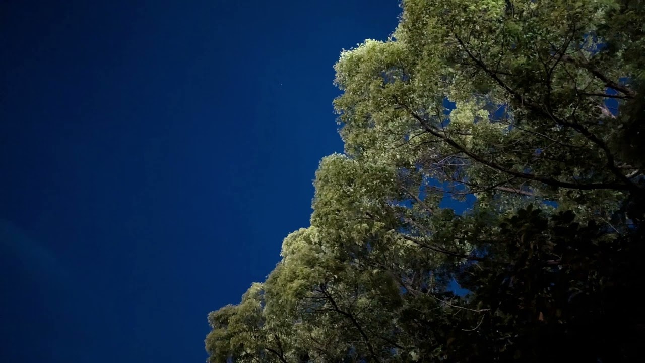 2:17 AM, No One Awake | Quiet Night Ambient BGM for Focus & Late Thoughts