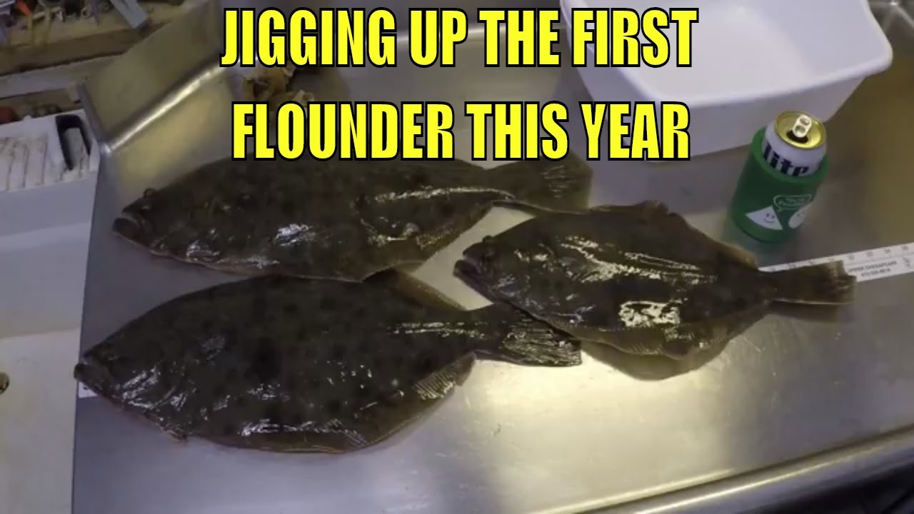 Spring Flounder/Fluke Fishing - First trip of the spring